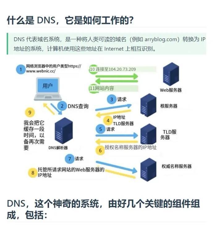 探究DNS服务器地址的重要性（为什么我们需要了解DNS服务器地址？）