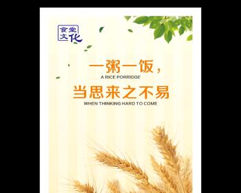 光盘寿命（揭开光盘的秘密，了解它的使用寿命和保养方法）