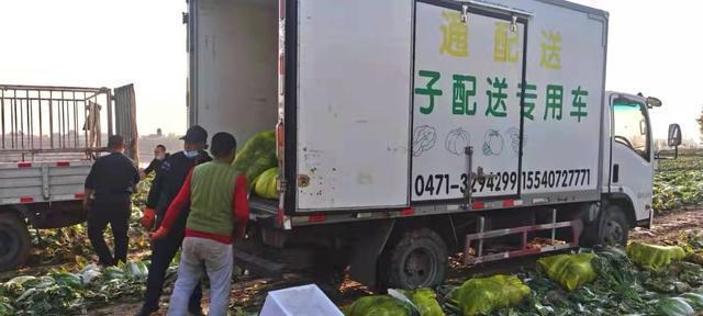 以日供货如何确保充足？（解密以日供货的供应链管理策略）