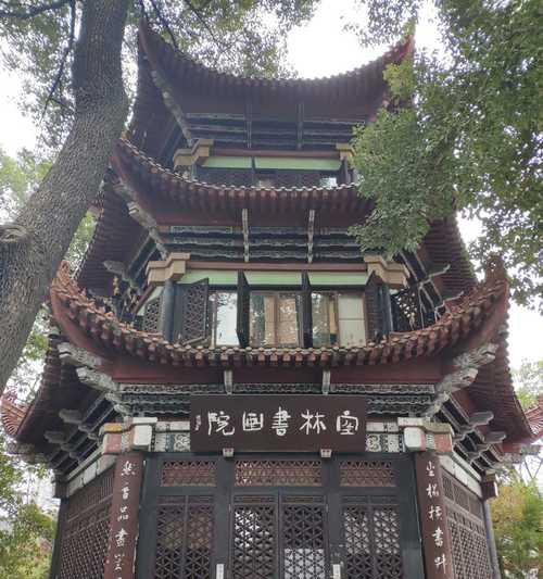 奇鱼旅行（探索奇鱼旅行的独特魅力，打造难忘的旅游体验）