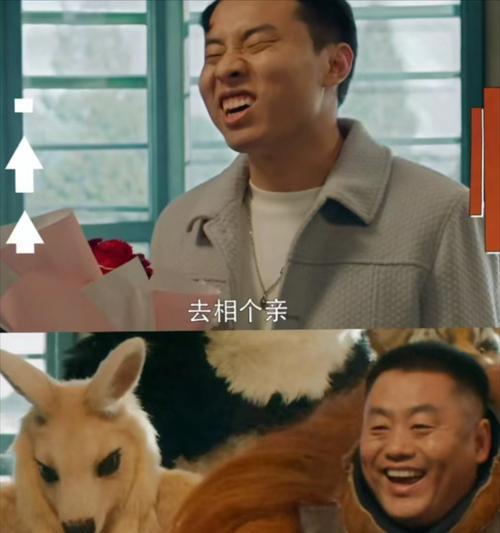 如何正确观看电影（以虚为主题的片段观看技巧）