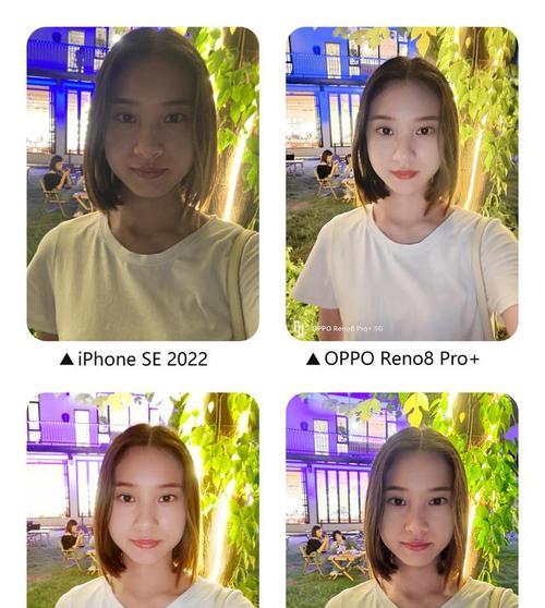 Oppo和苹果手机的性价比对比（哪个品牌更值得购买？）