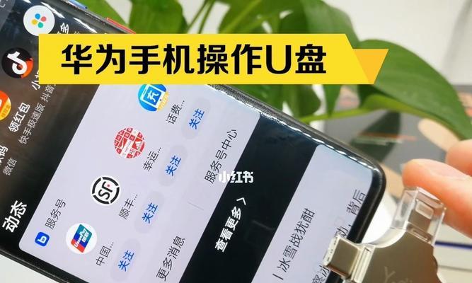 风林雨木U盘安装教程（使用风林雨木U盘实现系统安装的详细步骤）